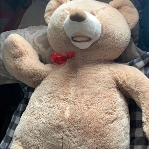 Huge Teddy Bear